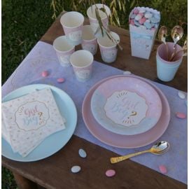 10 Assiettes en carton Girl or Boy