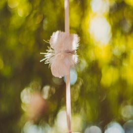 6 Pinces papillons plumettes blanches