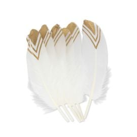 6 Plumes ethniques blanc et or 18-20cm