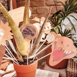 Kit photobooth Theme Dinosaure