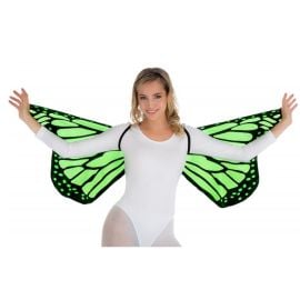 ailes - papillon - vert adulte