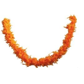 Boa plumes - orange - adulte