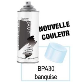 Peinture Aérosol Banquise 400ml