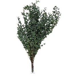 Bouquet de buis vert foncé