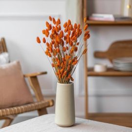 Bouquet Phalaris Orange 