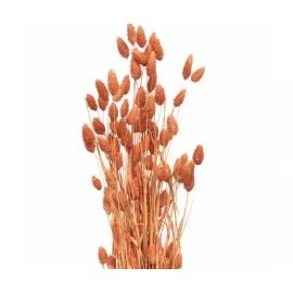 Bouquet Phalaris Rose Corail