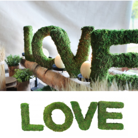 Centre de table 4 Lettres LOVE en mousse verte 20cm