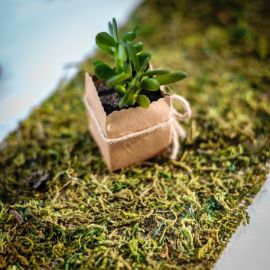 Chemin de table mousse sur jute