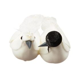 Couple de colombe plume noir et blanc 