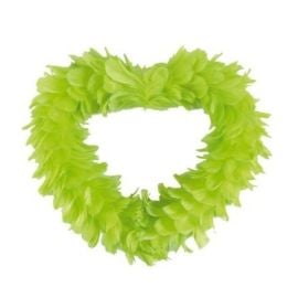 Grand coeur en plume Vert anis