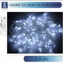 Guirlande lumineuse 40 LED Blanche avec Diamant 