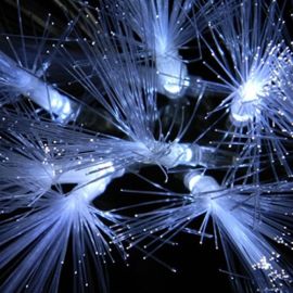 Guirlande lumineuse fibre optique 40 LED Blanc froid