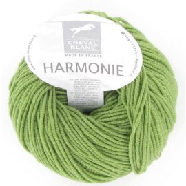 fil à tricoter Cheval Blanc Harmonie Vert 