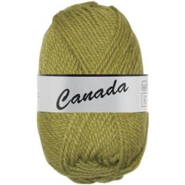 Pelote de laine Canada Lammy Yarns Vert Kaki