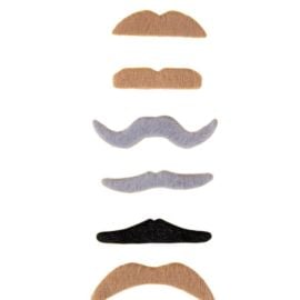 Moustaches - lot de 6