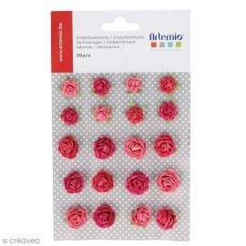 Mini Roses roses