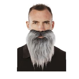 Moustache et barbe raide - gris