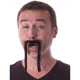 Moustache Chinoise Noire