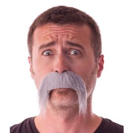 Moustache Kéké Grise