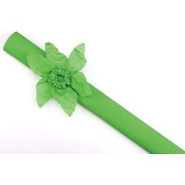 Papier crépon Vert en rouleau 10 m x 50 cm