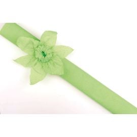 Papier crépon Vert anis en rouleau 10 m x 50 cm