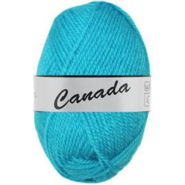 Pelote de laine Canada Lammy Yarns Bleu Océan