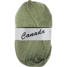 Pelote de laine Canada Lammy Yarns Kaki