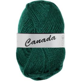 Pelote de laine Canada Lammy Yarns Vert