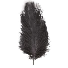 plume autruche - noir 55-60 cm