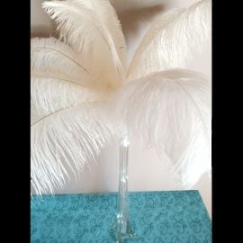 Plume d'Autruche Blanche Géante 50c