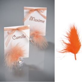 plume deco mariage orange