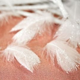 Plume pailleté Blanche