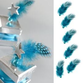 Plume avec perle turquoise