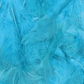 Plume de décoration Turquoise 13 cm x 30 pièces