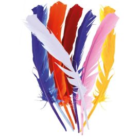 Plumes - couleurs aléatoires - 30 cm - lot de 12