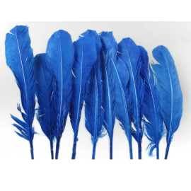 plumes - dinde - bleu x10pcs