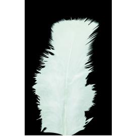 plumes - pieds plats - blanc x100pcs