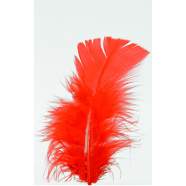 plumes - pieds plats - rouge x100pcs