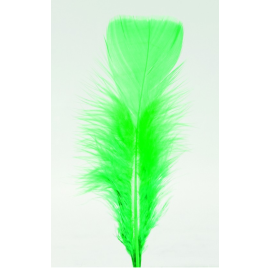 plumes - pieds plats - vert x100pcs