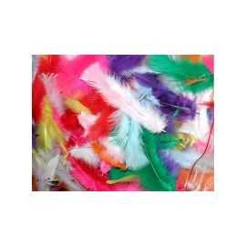 Sachet de plumes multi couleurs