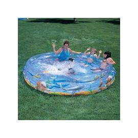 Piscine Bestway Dauphin 249x53 cm