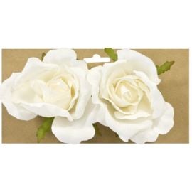 roses bouton blanches 