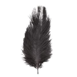 sachet 5 - plumes autruches - noir 20-25 cm