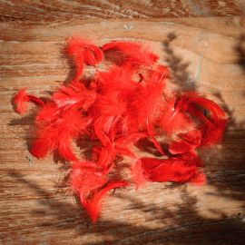 Sachet de plumettes Rouge pas cher