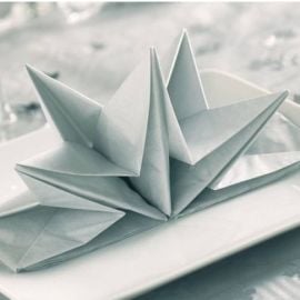 Serviette en papier voie seche Argent