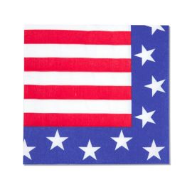 Serviettes USA x12pcs