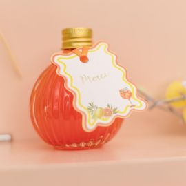 10 Étiquettes Fizz Agrume avec ruban satin orange