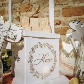 Urne mariage Theme Jolis Brins 