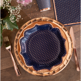 Assiette en carton Passe Partout Bleu Marine x 10 pièces