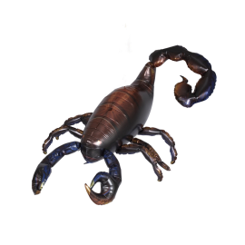 ballon aluminium 3d scorpion noir 126cm